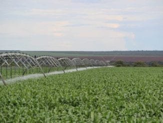 Desenvolvimento agrícola no Oeste da Bahia.