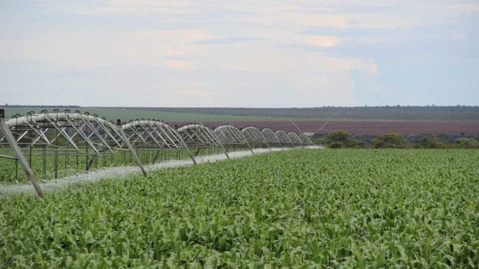 Desenvolvimento agrícola no Oeste da Bahia.