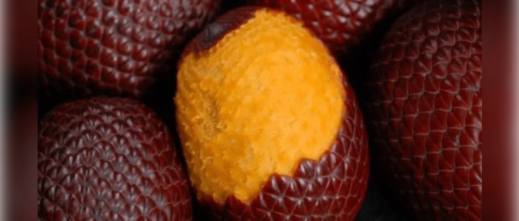 Frutos do Cerrado
