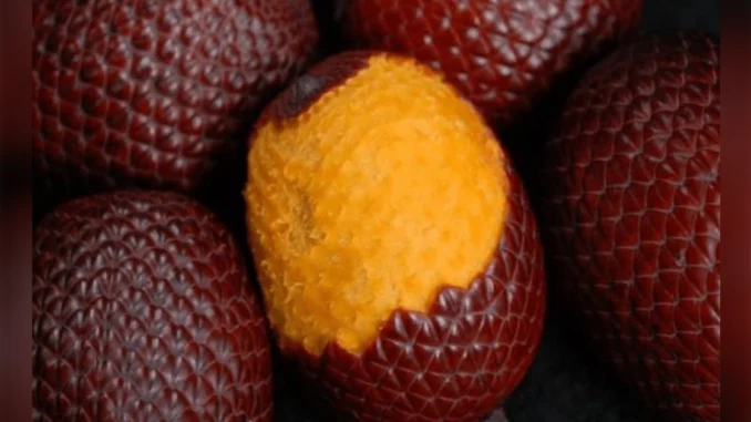 buriti Frutos do Cerrado
