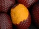 Frutos do Cerrado
