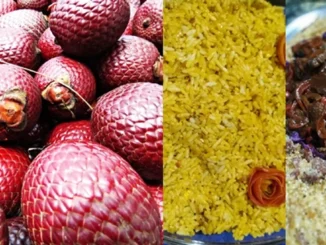 Em Formosa do Rio Preto, curso propõe a mistura de frutos do cerrado a culinária tradicional
