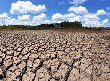 Governo da Bahia reconhece emergência em Buritirama e Muquém do São Francisco por conta da estiagem