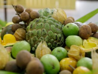 alt=frutos do cerrado, como Buriti, jatobá, mangaba, araticum, murici, cagaita e pequi.