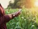 Notícias corporativas, Agronegócio, Digitalização