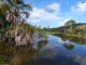 Dia Mundial da Água, Cerrado, Formosa do Rio Preto, Bahia, 22 de março, Instituto Cerrados