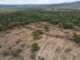 Caatinga, Ibama, Rio São Francisco, Bahia, Oeste da Bahia, desmatamento