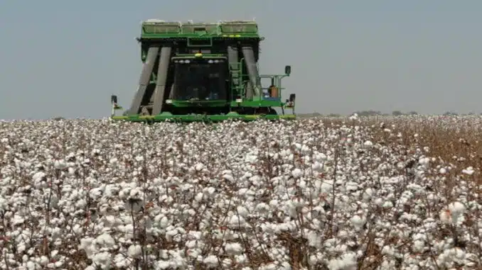 Levantamento Sistemático da Produção Agrícola, LSPA, Instituto Brasileiro de Geografia e Estatística, Bahia, Superintendência de Estudos Econômicos e Sociais da Bahia Produção baiana de grãos