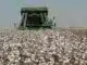 Levantamento Sistemático da Produção Agrícola, LSPA, Instituto Brasileiro de Geografia e Estatística, Bahia, Superintendência de Estudos Econômicos e Sociais da Bahia Produção baiana de grãos