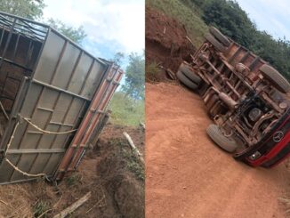 Tombamento, acidente, Formosa do Rio Preto, caminhão com bois, zona rural
