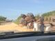 carreta, acidente, BR-135, Riachão das Neves, Bahia