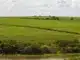 BrasilAgro, Jaborandi, Bahia, Fazenda
