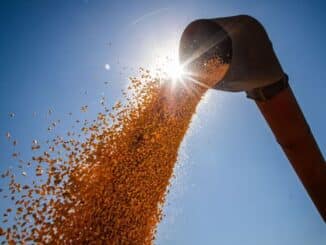 PIB, Economia, estado, Bahia, grãos, agricultura, safra, agro, agronegócio, economia bahia