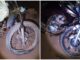 Motocicletas, Feridas, Colisão, motociclista, Corrente, Piauí, Sul do Piauí, Acidente