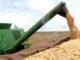 safra de grãos, Bahia, Produto Interno Bruto, PIB Baiano, agropecuária, agronegócio