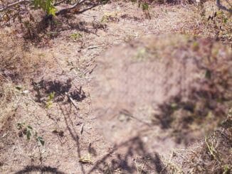 jovem desaparecido, Cotegipe, Bahia, perfuração por arma branca