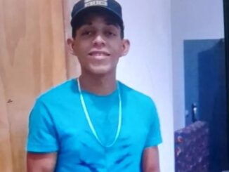 Onça, BA-160, Acidente, Barra, Xique-Xique, Bahia