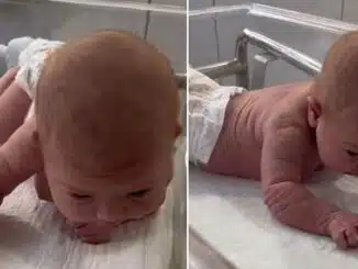 bebê, recém-nascida, estados unidos