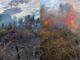Barreiras, Incêndio, Luís Eduardo Magalhães, Bombeiro, , Rio dos Cachorros, Mata Ciliar