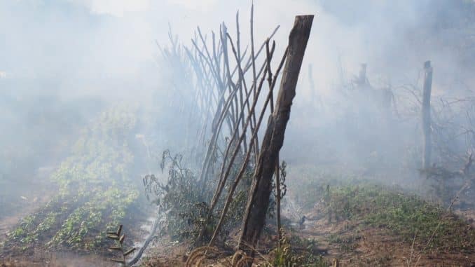 incêndio, Formosa do Rio Preto, Morada Nova, Bahia, incêndio criminoso