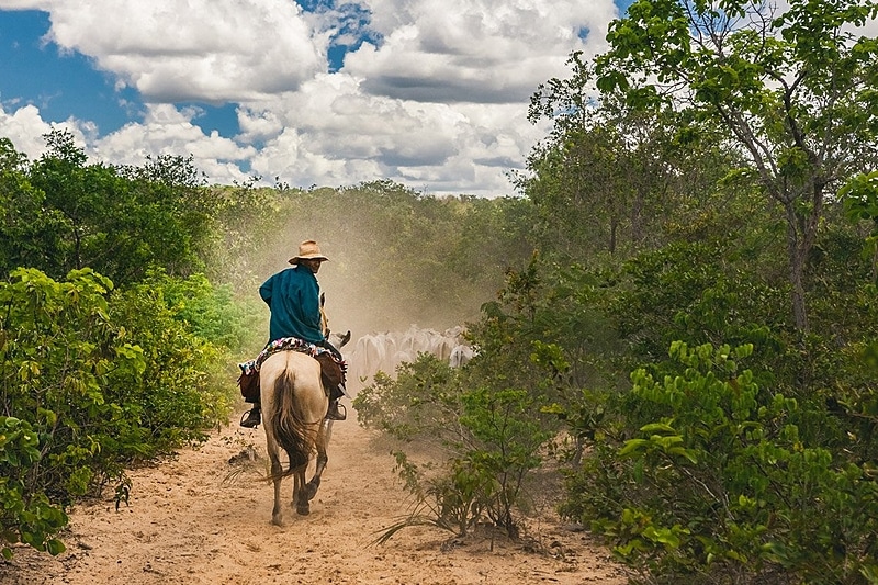 O Vaqueiro Descansa Seu Cavalo Na Frente De Uma Igreja Velha Na área Rural  De New Mexico Fotografia Editorial - Imagem de rancho, rural: 98899507