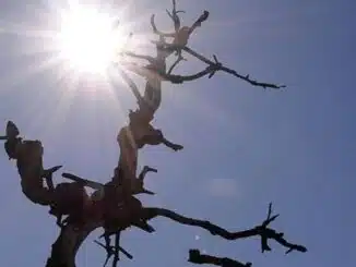 Calor, Temperatura, Inmet, Formosa do Rio Preto, Bahia, Oeste da Bahia