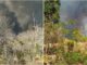 Fogo na zona rural, Formosa do Rio Preto, Bahia, incêndio na zona rural, Incêndio
