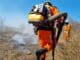 Bahia Sem Fogo, Sema, Inema, Bahia, combate a incêndios florestais