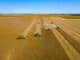 Safra 2022/2023, Brasil, Agronegócio, Produção Agrícola