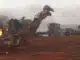 Incêndio São Simão, São Simão incêndio, São Simão, Goiás, Incêndio, Canavial, Usina, Incêndio