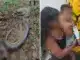 Sucuri, Goiás, Vicentinópolis, Serpente, sucuri ataca criança em Vicentinópolis