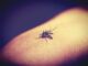 Quarta morte por dengue, Bahia, Aedes aegypti, Mosquito, Ibiassucê, Piripá, Jacaraci