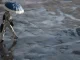 Temporal no Rio de Janeiro, Chuva Intensa, Previsão do Tempo, Alerta Laranja hoje