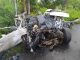 Colisão BR-242 Ibotirama, Acidente, BR-242, Ibotirama, Bahia, Ferida