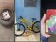 Imagem mostra produtos de furtos recuperados pela Polícia Militar na cidade de Formosa do Rio Preto, na Bahia