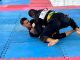 Atletas de Formosa do Rio Preto, na Bahia, ficam em primeiro lugar por equipe na 9ª edição da Copa Formosa de Jiu-Jítsu