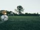 Veja 7 ideias de presentes para apaixonados por futebol, especialmente quando a pessoa é um verdadeiro fã do esporte.