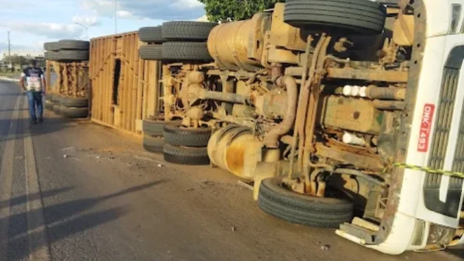 Acidente, BR-242, Barreiras, Bahia, Carga Viva, bois na pista, tombamento, ferido