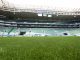 Campeonato Brasileiro de Futebol, Série A, Palmeiras e Bahia, Esporte Clube Bahia, Sociedade Esportiva Palmeiras