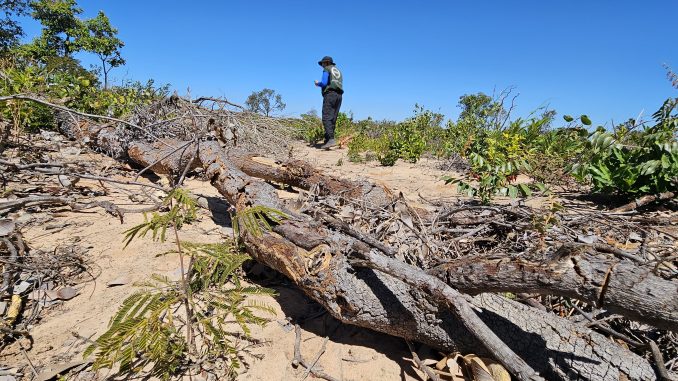 Sema e Inema concluem 12 dias de fiscalização no Cerrado Baiano, Operação Mata do Guará, Secretaria do Meio Ambiente (Sema) e o Instituto do Meio Ambiente e Recursos Hídricos (Inema)