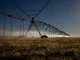 Projeto que permite irrigação em área de proteção recebe críticas, Comissão de Constituição e Justiça, CCJ, Câmara dos Deputados, Código Florestal Brasileiro