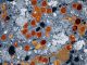 MPOX EMERGÊNCIA GLOBAL DE SAÚDE, VARÍOLA DOS MACACOS, OMS, ORGANIZAÇÃO MUNDIAL DA SAÚDE, EMERGÊNCIA SANITÁRIA GLOBAL