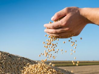 Cidades mais ricas do agronegócio, Bahia, Formosa do Rio Preto, São Desidério