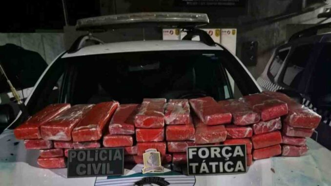 Polícia prende jovem com 50 kg de maconha em ônibus na BR-135, no Piauí. Ação conjunta reforça combate ao tráfico de drogas; ovem preso com 50 kg de maconha em ônibus na BR-135, Piauí