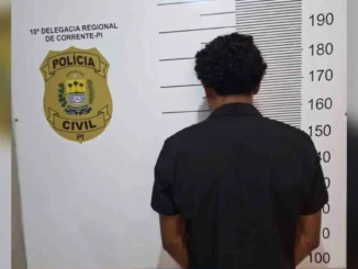 Golpes em idosos, Corrente, Piauí, Polícia Civil do Piauí