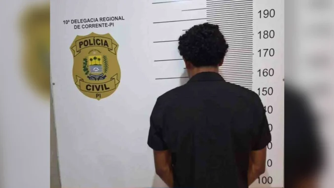 Golpes em idosos, Corrente, Piauí, Polícia Civil do Piauí