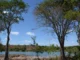 Bahia registra queda no desmatamento, MapBiomas