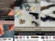 Prisão em Santa Rita de Cássia, 86ª CIPM, Polícia Militar da Bahia