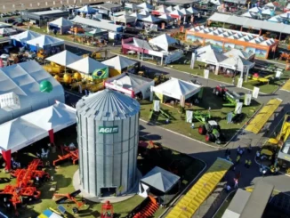 Pib do agronegócio baiano