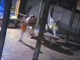 Criança de 2 anos mata a mãe com arma do pai em Rio Verde, em Mato Grosso do Sul (MS)